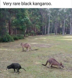 1669922110297.png