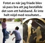 A45F3741-82A5-4B6C-BA9F-F3A0087BFCC0.jpeg