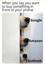 1672739889540.png