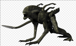 1673125454934.png