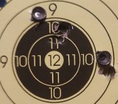 skott före.jpg skott före.jpg