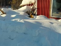 IMG_20230308_131540_HDR.jpg