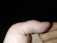20230227_060744.JPG
