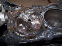 Copy of 100_0569.jpg