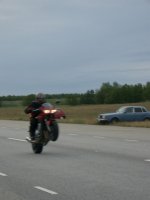 IMGP1645.jpg