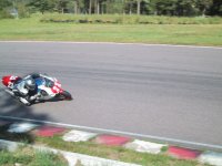 IMG_2428.jpg