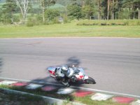 IMG_2429.jpg