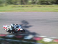 IMG_2435.jpg