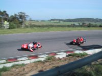 IMG_2439.jpg