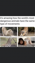 1681839378409.png
