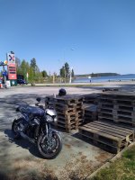 IMG_20230513_111746.jpg