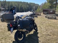 IMG_8664.jpeg