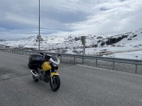 IMG_0252.jpeg