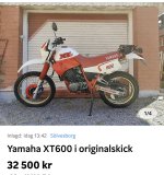 IMG_4561.jpeg