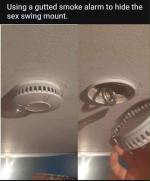 1685260576339.png