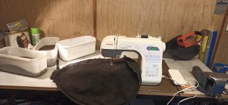 IMG_20230611_162240.jpg