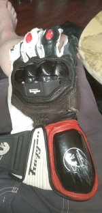 IMG_20230629_201338.jpg