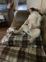 IMG_0182.jpeg