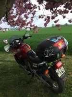 IMG_4791.jpeg