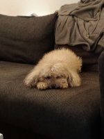 IMG_20230119_180444.jpg