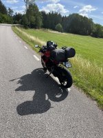 IMG_6632.jpeg