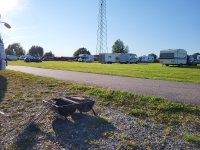 20230729_184117.jpg