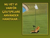 FB_IMG_1694012274360.jpg