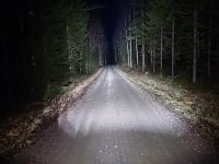 DSC_1418.JPG