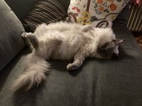 IMG_4528.jpeg