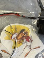 IMG_2574.jpeg