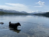 IMG_8059.jpeg