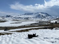 IMG_8128.jpeg
