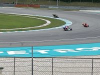 IMG_1922.jpeg