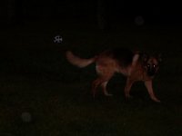 2004_0626_094445AA.JPG