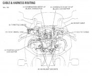 IMG_1330.jpeg