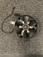 IMG_1486.jpeg