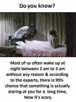1701249363130.png