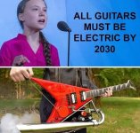 IMG_3203.jpeg