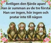 FB_IMG_1709488201453.jpg