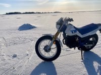 IMG_1234.jpeg
