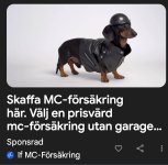 1000001200.jpg