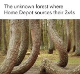 FB_IMG_1710888457564.jpg