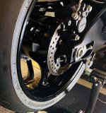 IMG_4491.jpeg
