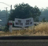 1711648282268.png