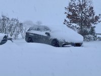 IMG_1768.jpeg