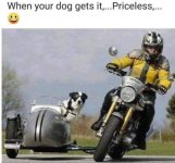 FB_IMG_1712255639473.jpg