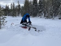 Vårtecken_1.jpg