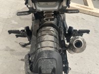 IMG_4950.jpeg