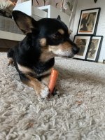IMG_0065.jpeg
