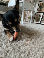 IMG_0066.jpeg